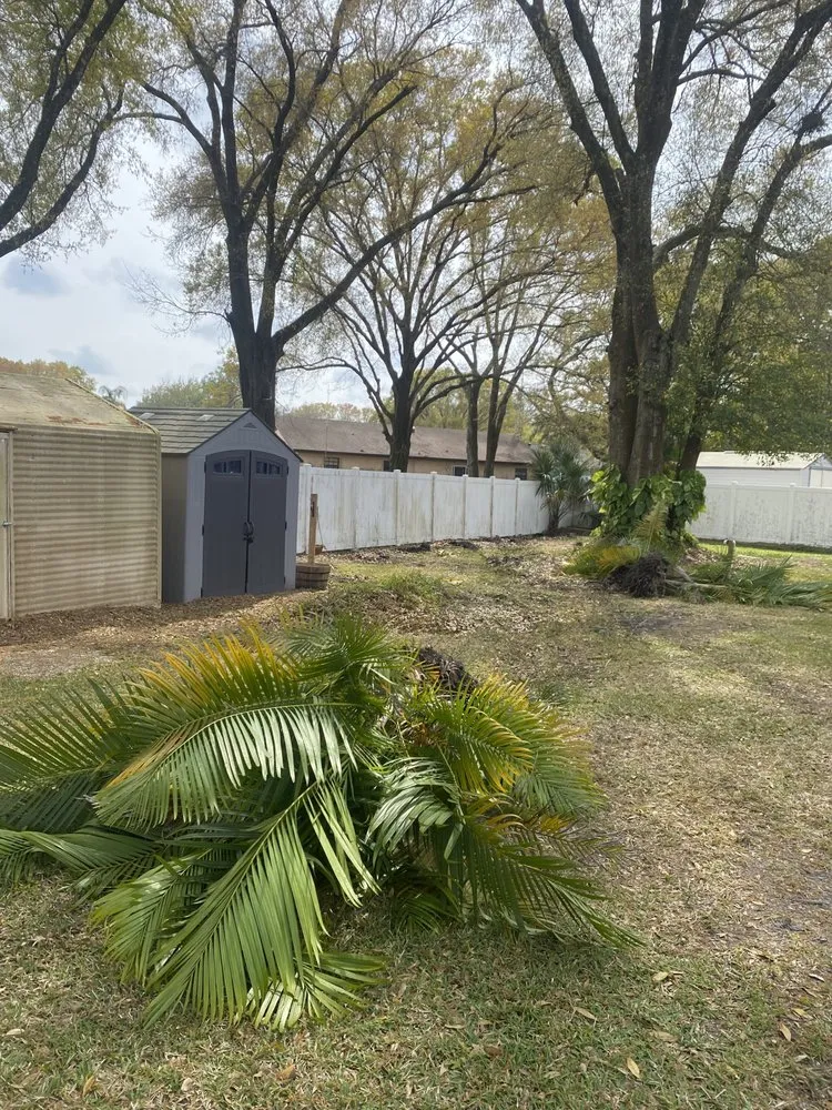 Local yard maintenance near you in Lutz, FL by Carrows Land Management