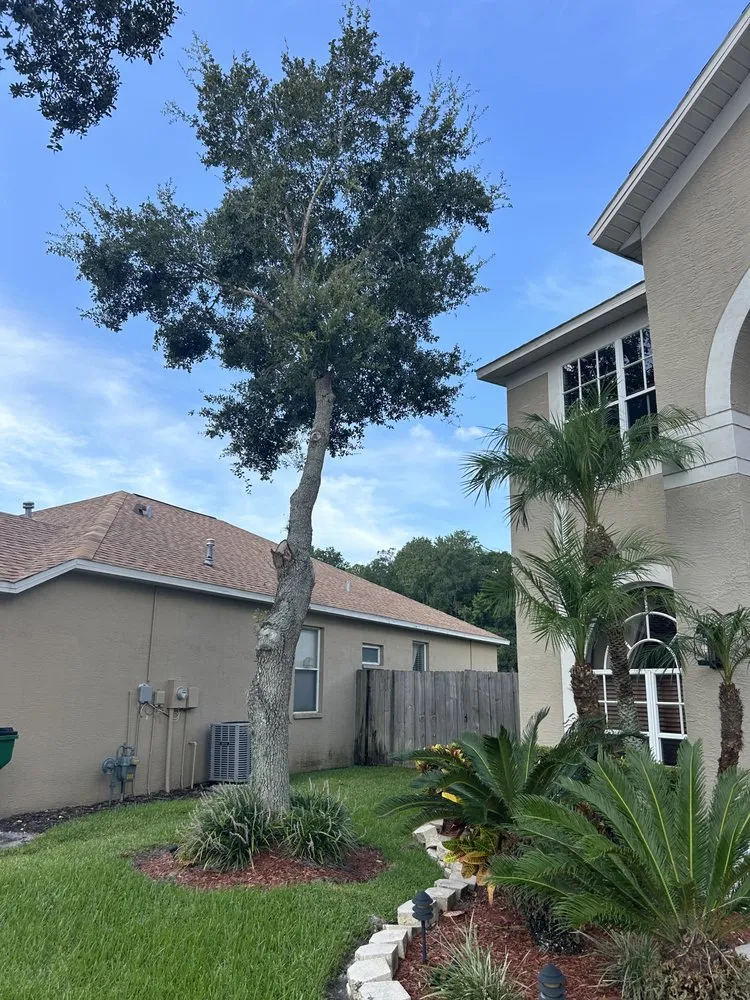 Trusted landscaping services in Lutz, FL - Carrows Land Management