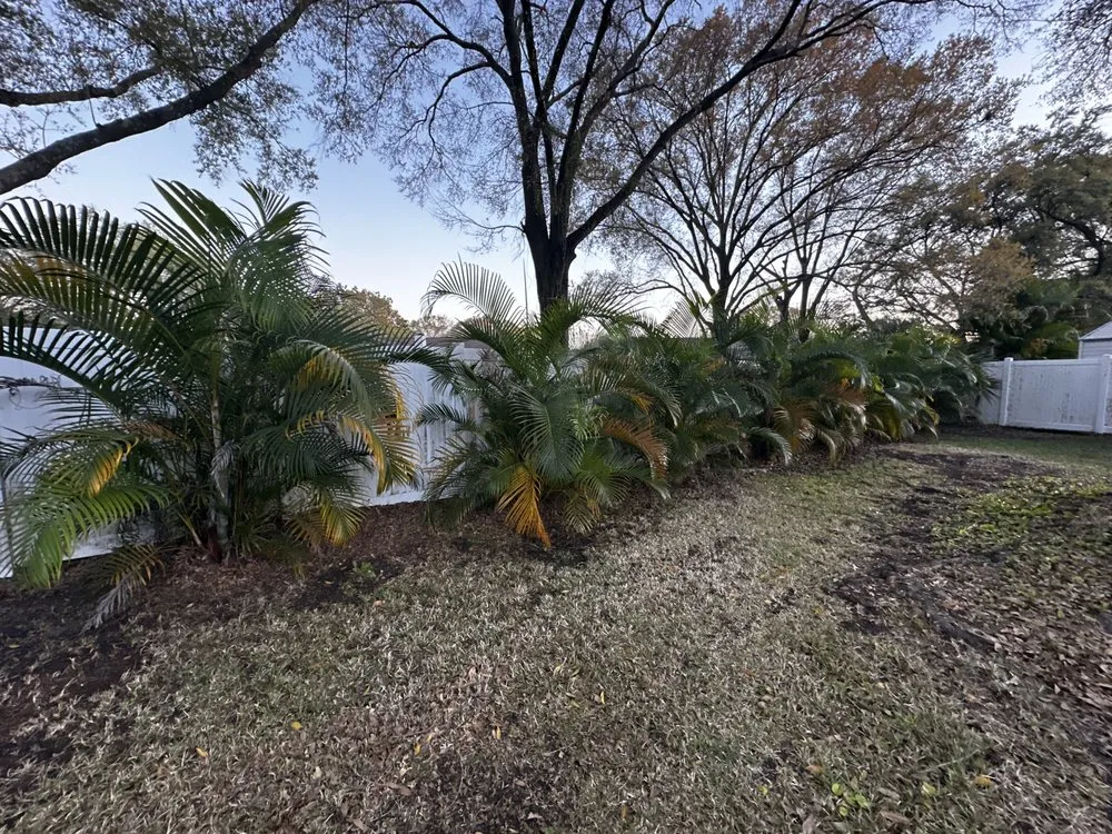 Top-rated yard cleanup service in Lutz, FL by Carrows Land Management