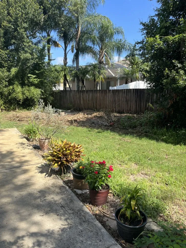 Reliable residential landscaping for outdoor upgrades across Lutz, FL - Carrows Land Management