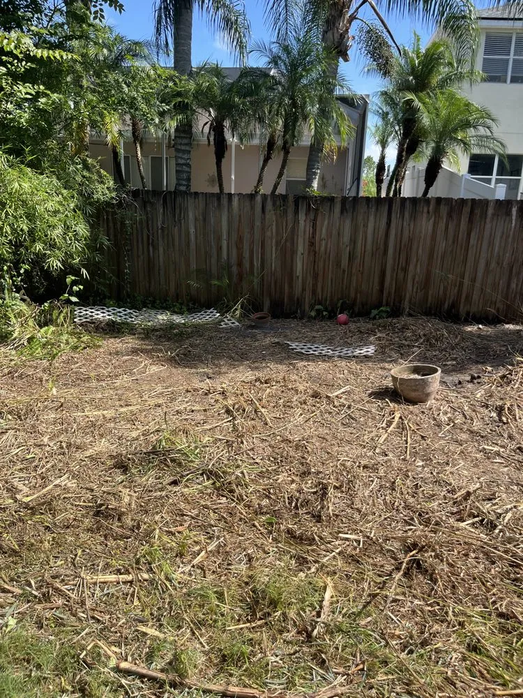 Professional yard maintenance near you in Lutz, FL by Carrows Land Management