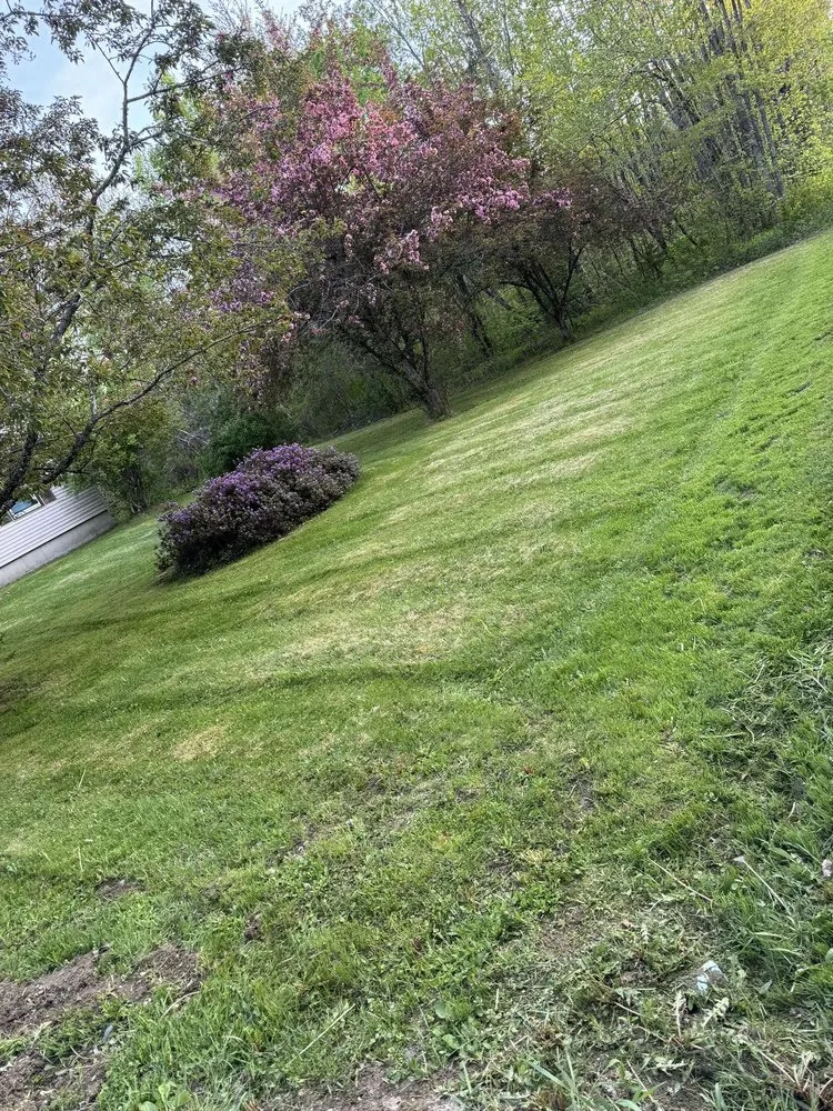 Professional outdoor landscaping for year-round maintenance across Levant, ME - Carrow's Strictly Outdoors