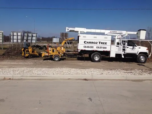 Carroz Tree & Lawn Service