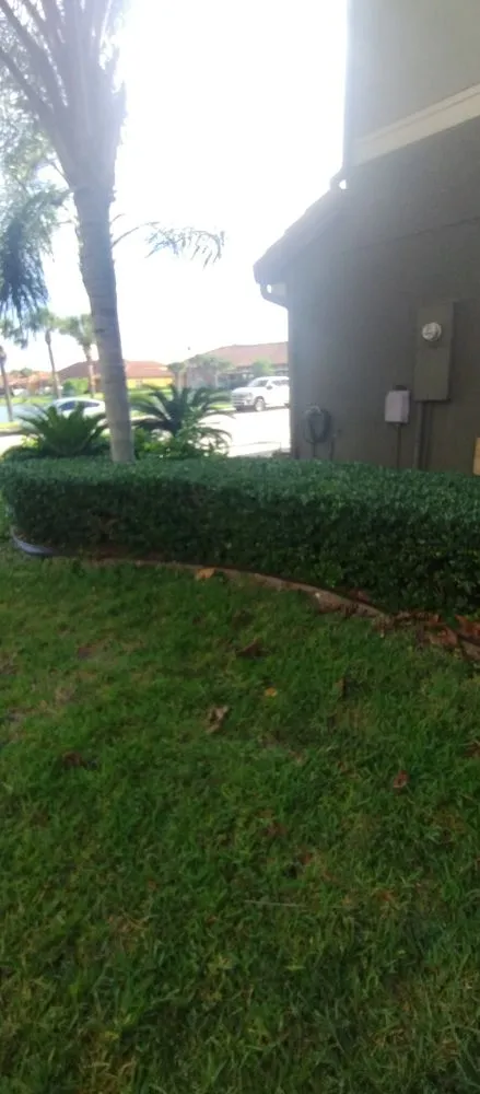 Reliable lawn care service experts serving Melbourne, FL - Carr’s Complete Landscaping