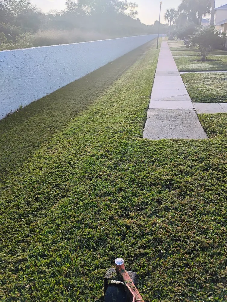 Professional landscape installation near you across Melbourne, FL - Carr’s Complete Landscaping