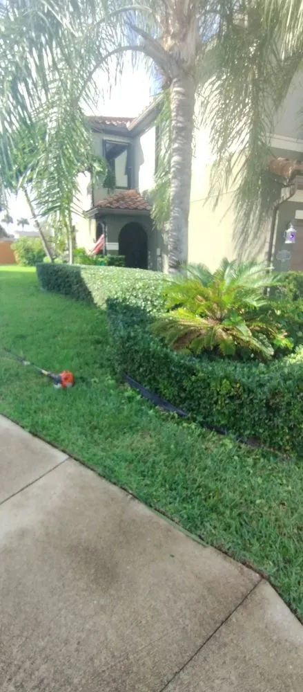 Affordable landscaping services near you in Melbourne, FL by Carr’s Complete Landscaping