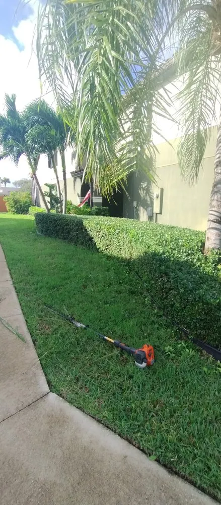 Expert garden landscaping in Melbourne, FL by Carr’s Complete Landscaping