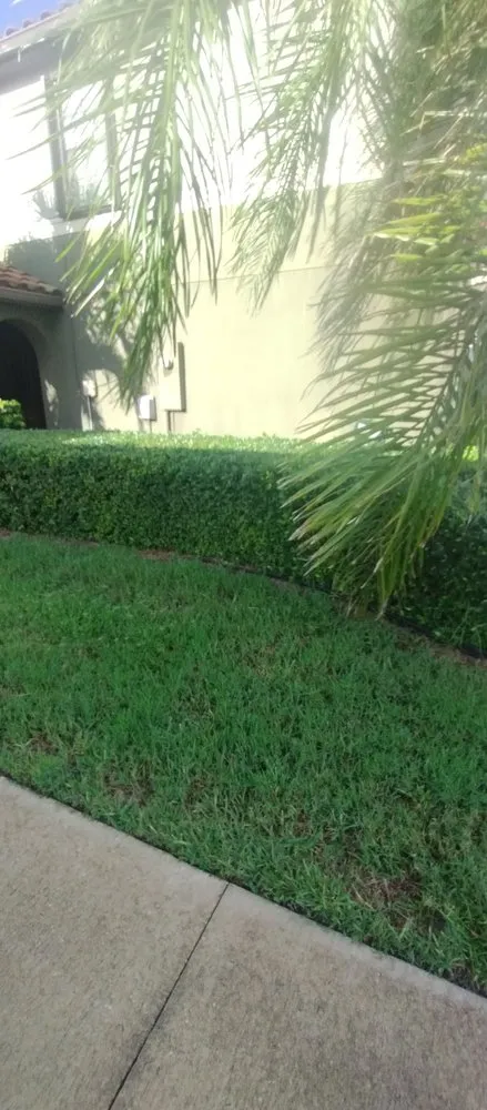 Custom landscape design in Melbourne, FL - Carr’s Complete Landscaping