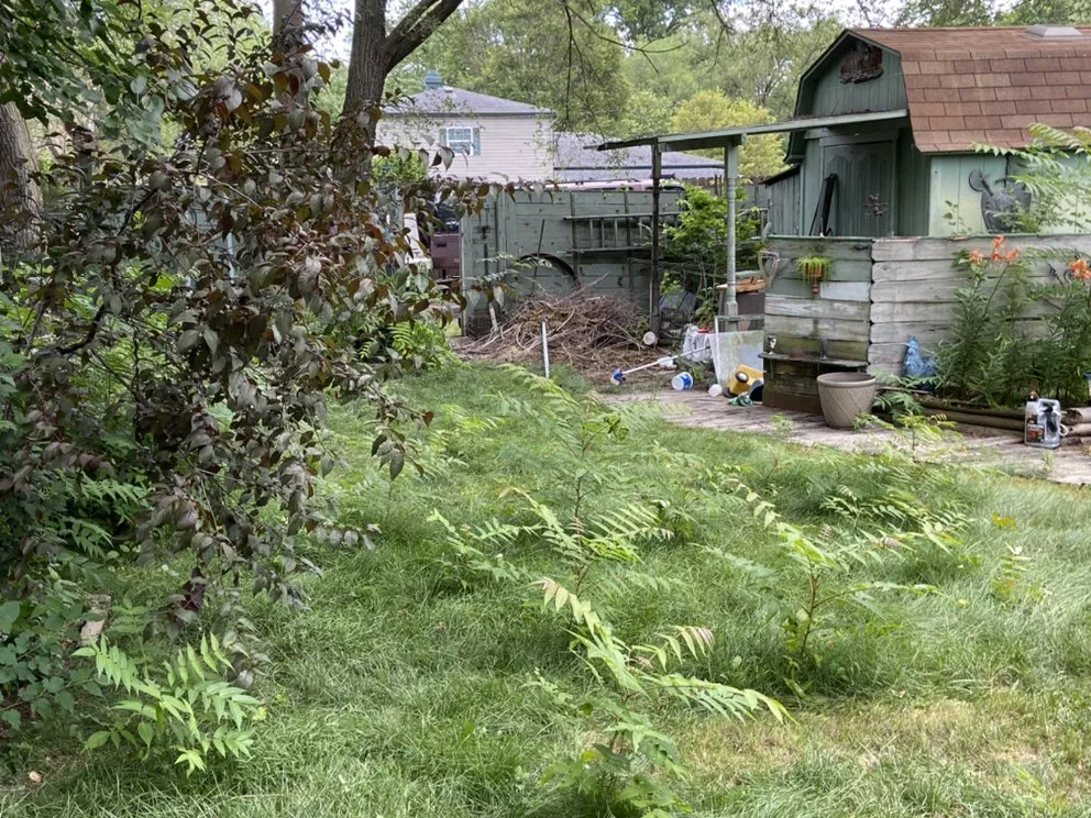 Top-rated garden landscaping experts serving Elkhart, IN - Carrs Landscaping