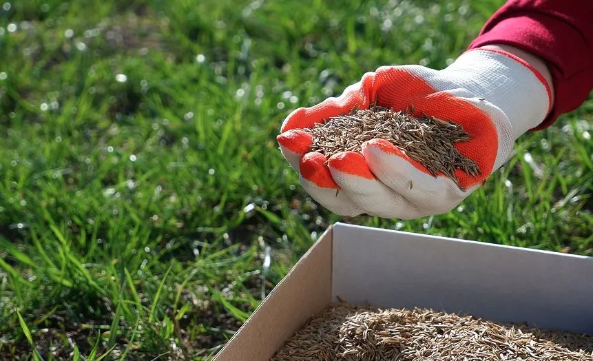 Trusted yard maintenance with custom design in Elkhart, IN by Carrs Landscaping