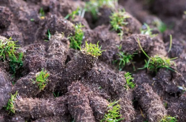 Reliable landscape design experts serving Elkhart, IN - Carrs Landscaping