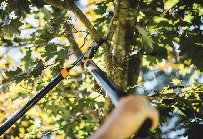 Affordable yard maintenance in Elkhart, IN - Carrs Landscaping