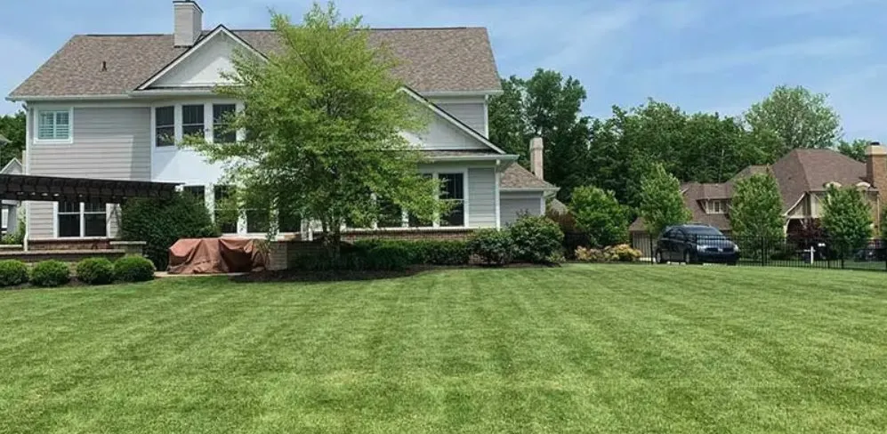 Custom yard cleanup service in Elkhart, IN by Carrs Landscaping