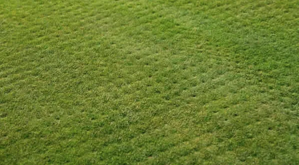 Reliable residential landscaping experts serving Elkhart, IN - Carrs Landscaping