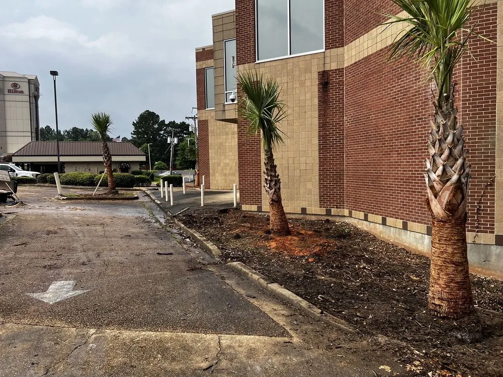 Reliable residential landscaping for homes across Brandon, MS - Carr’S Tree Removal & Landscaping