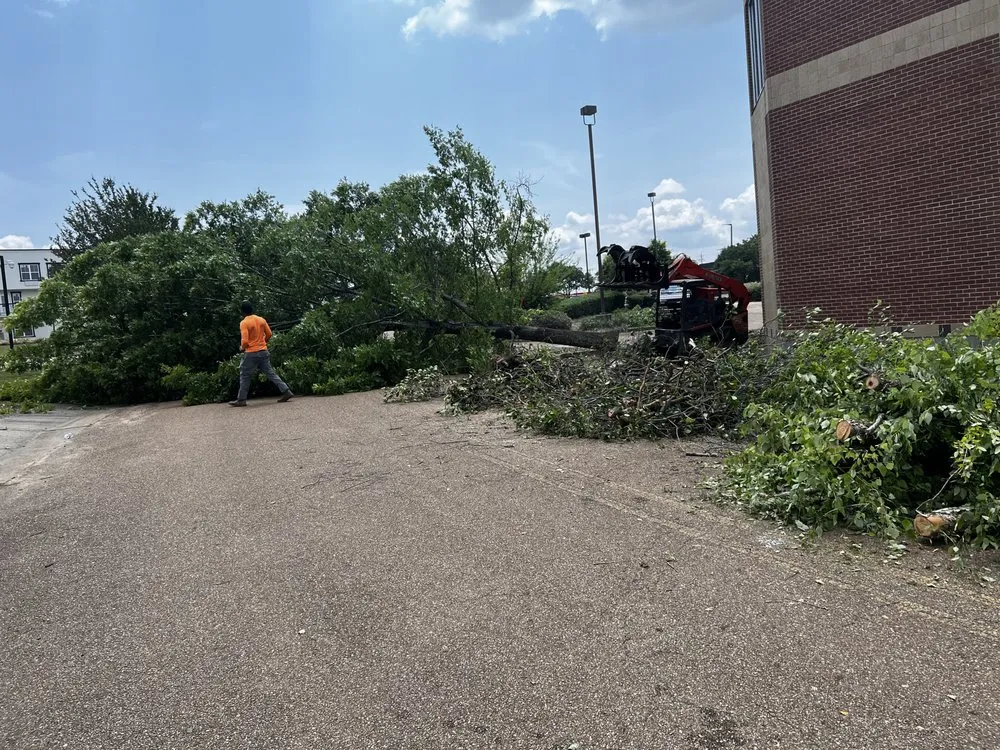 Professional landscape installation in Brandon, MS - Carr’S Tree Removal & Landscaping