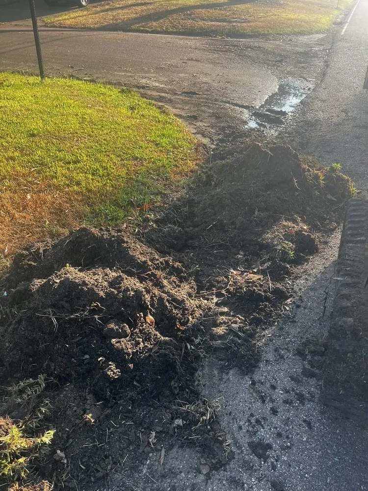 Professional yard maintenance for residential properties across Brandon, MS - Carr’S Tree Removal & Landscaping