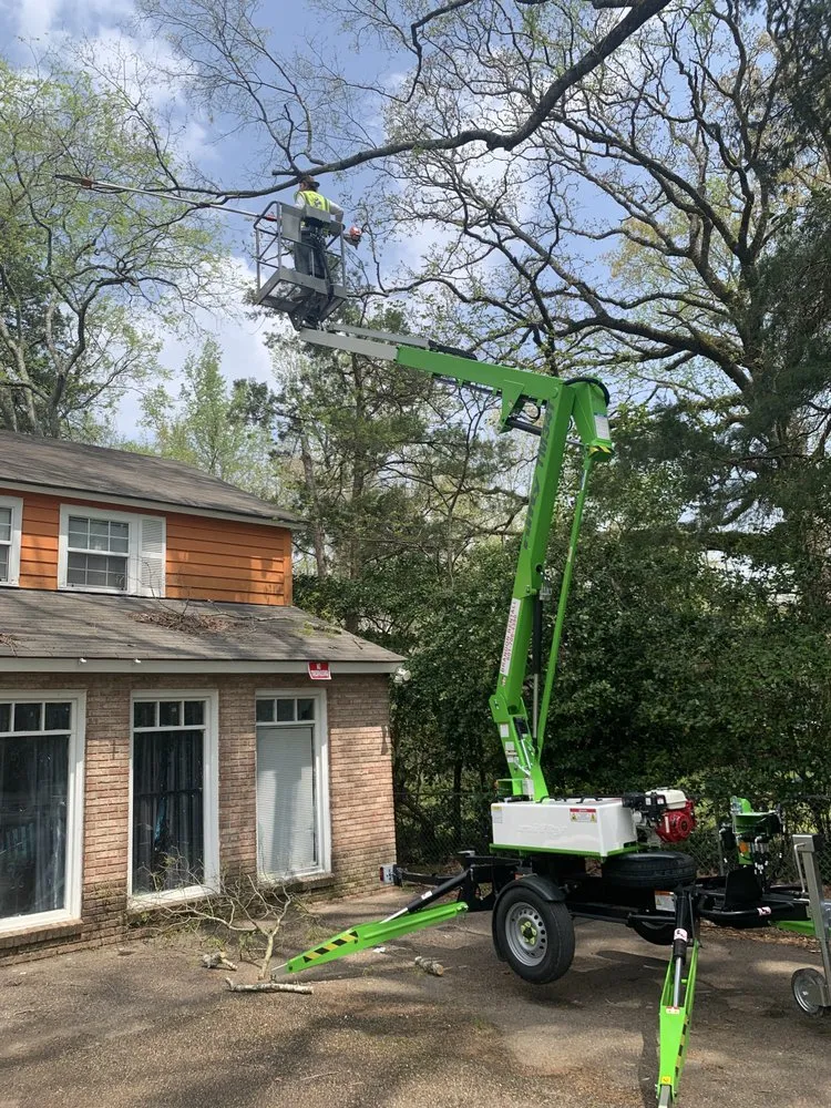 Trusted lawn care service in Brandon, MS - Carr’S Tree Removal & Landscaping