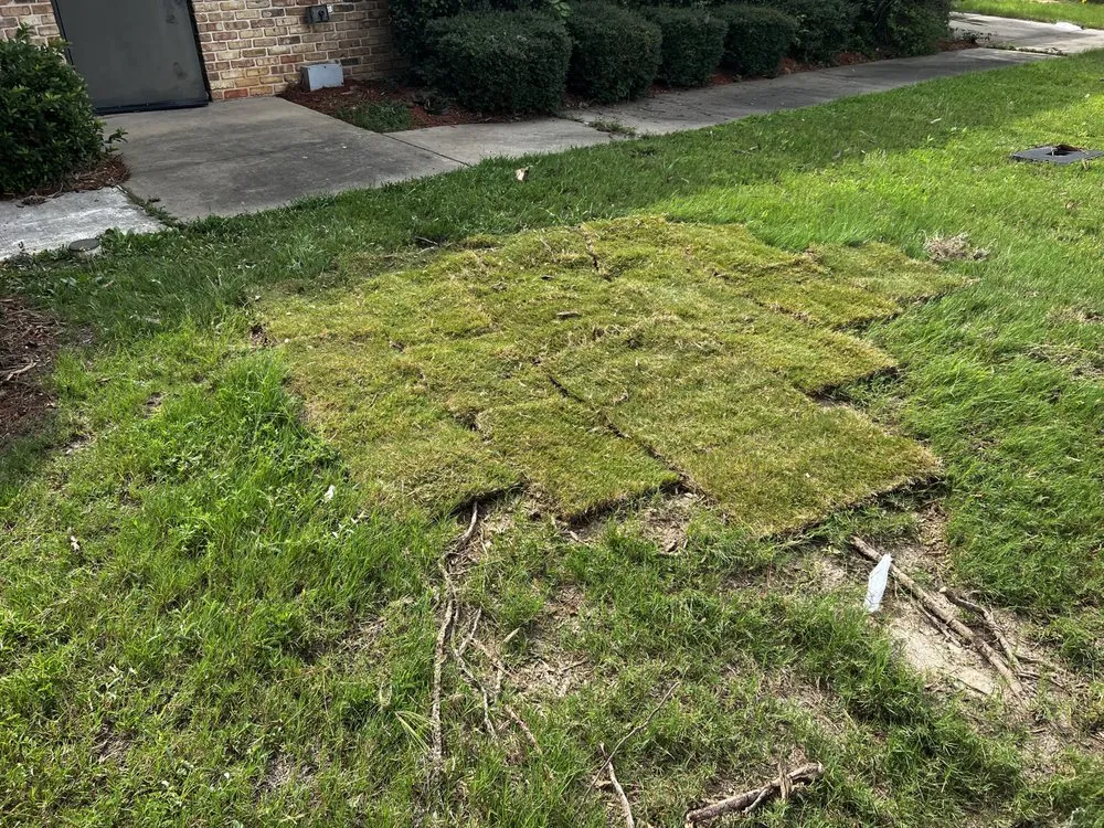 Reliable landscape installation for homes in Brandon, MS by Carr’S Tree Removal & Landscaping