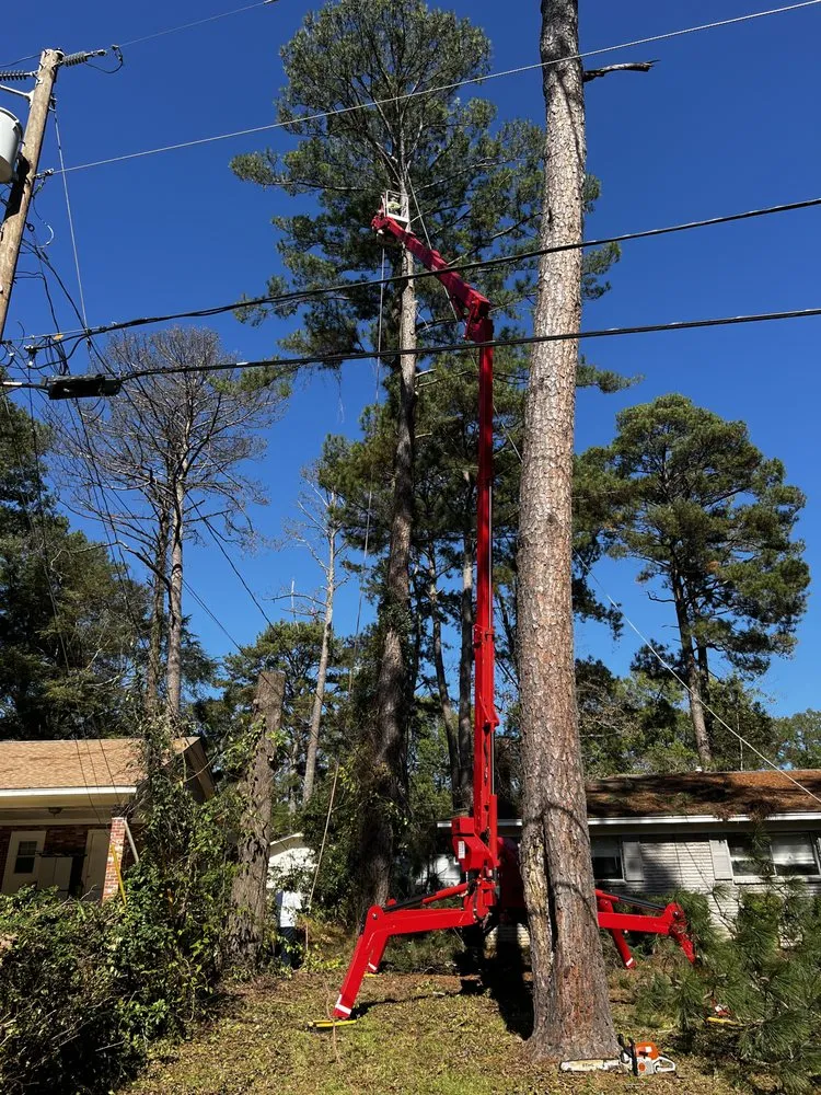 Professional outdoor landscaping with custom design in Brandon, MS by Carr’S Tree Removal & Landscaping