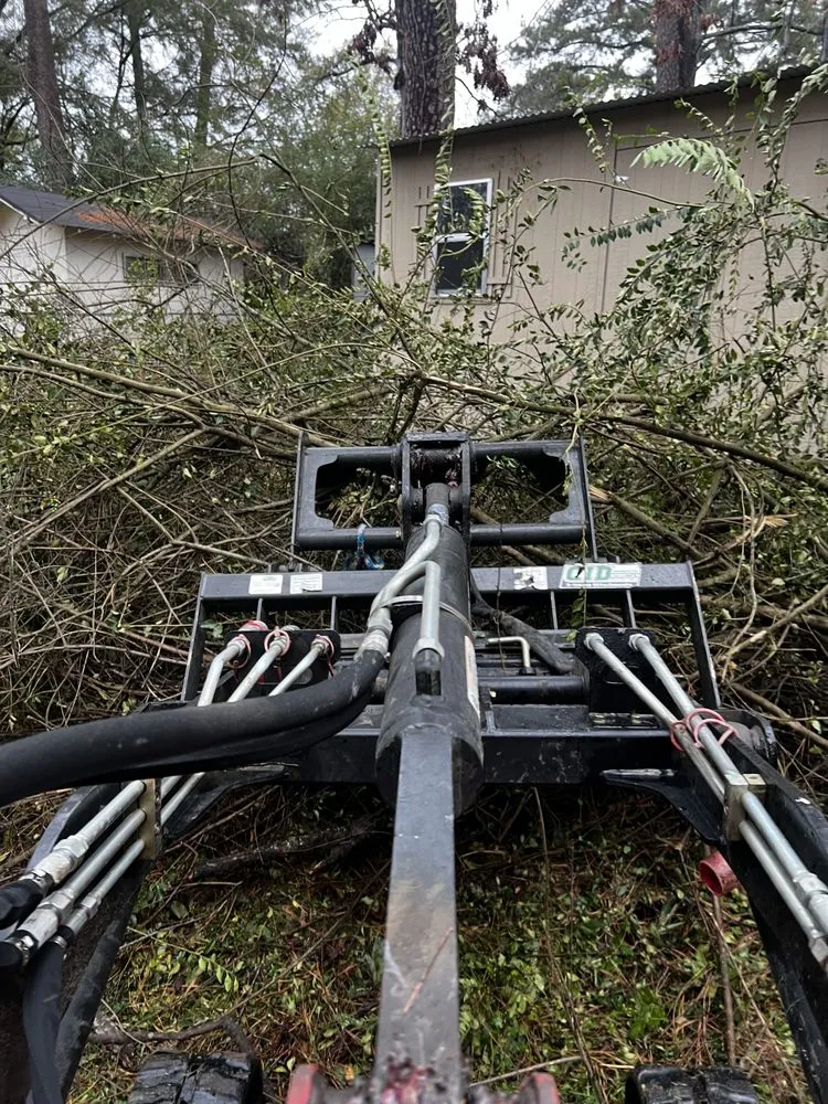 Affordable residential landscaping experts serving Brandon, MS - Carr’S Tree Removal & Landscaping