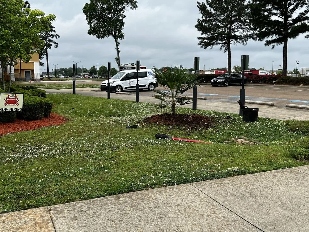 Reliable landscape design in Brandon, MS by Carr’S Tree Removal & Landscaping