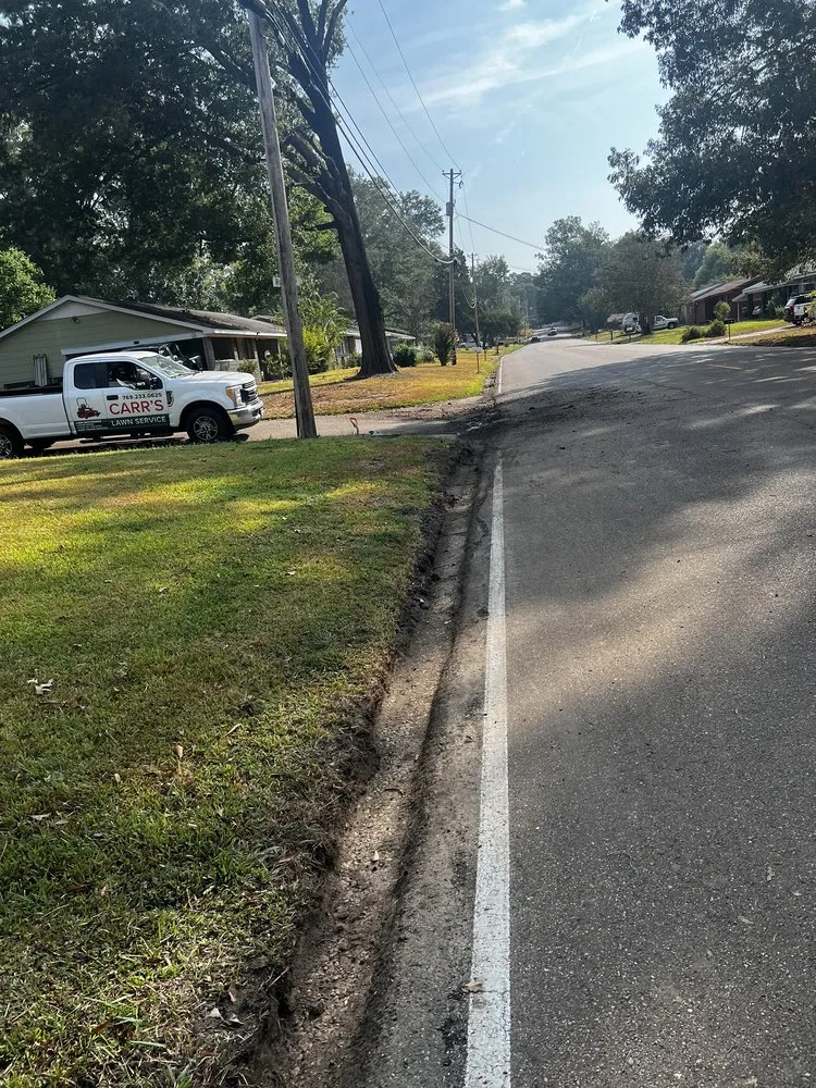 Local outdoor landscaping experts serving Brandon, MS - Carr’S Tree Removal & Landscaping