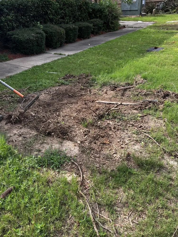 Custom landscape design near you across Brandon, MS - Carr’S Tree Removal & Landscaping