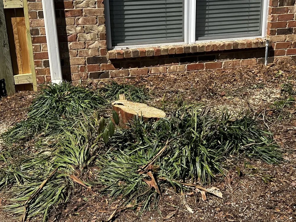 Professional outdoor landscaping for outdoor upgrades across Brandon, MS - Carr’S Tree Removal & Landscaping