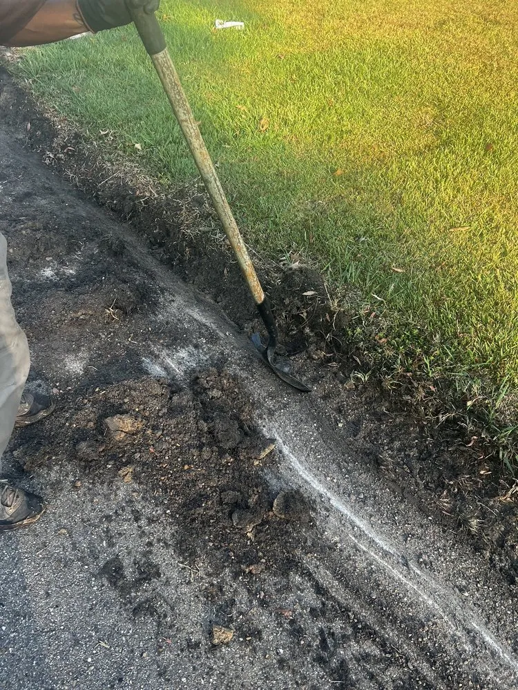 Expert yard maintenance experts serving Brandon, MS - Carr’S Tree Removal & Landscaping