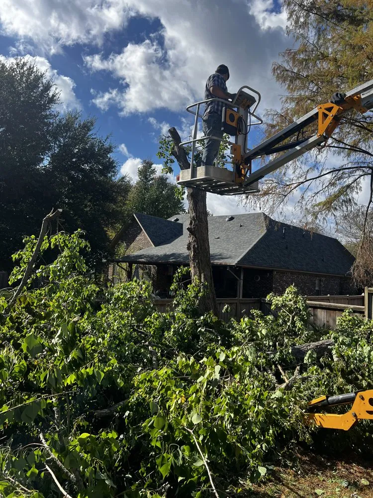 Top-rated lawn mowing service in Brandon, MS by Carr’S Tree Removal & Landscaping