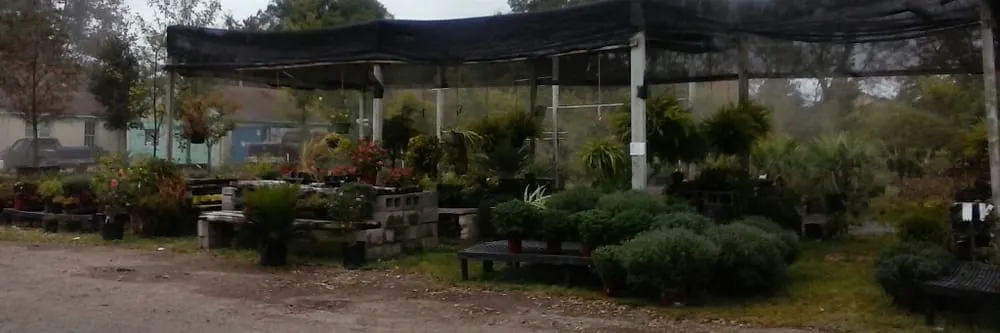 Reliable yard maintenance in Longview, TX - Carruth Irrigation & Landscape