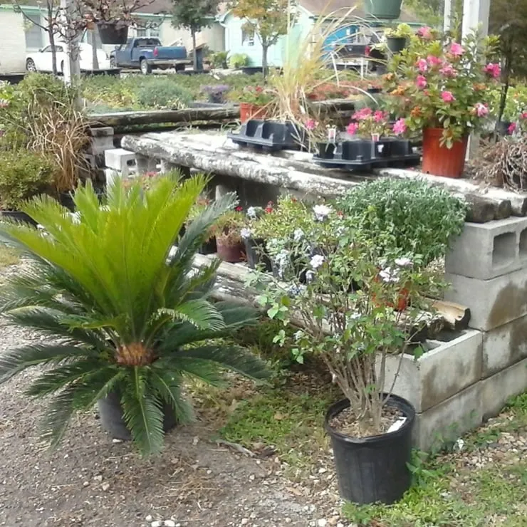 Local landscape installation in Longview, TX by Carruth Irrigation & Landscape