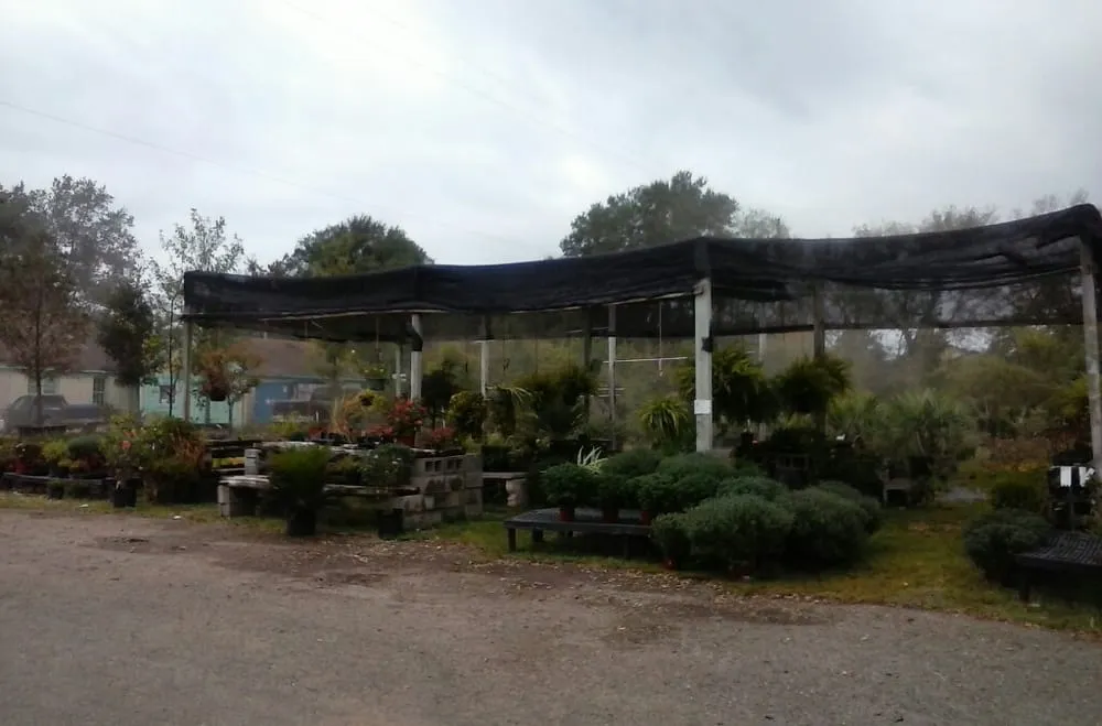 Professional yard maintenance experts serving Longview, TX - Carruth Irrigation & Landscape