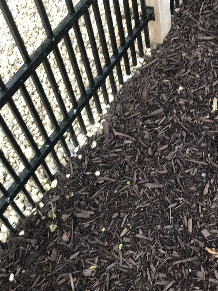 Top-rated lawn care service in Huntington Station, NY - Carry Landscaping Design & Masonry