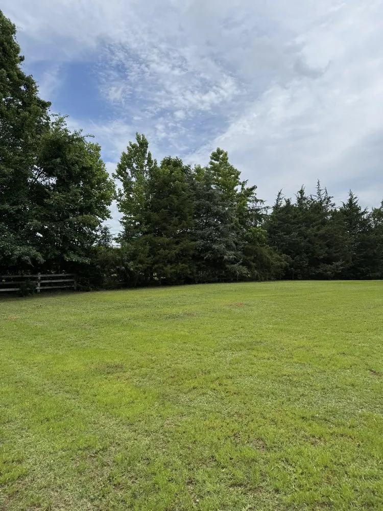 Custom landscape installation near you in McConnells, SC by Car’s Custom Lawn Care