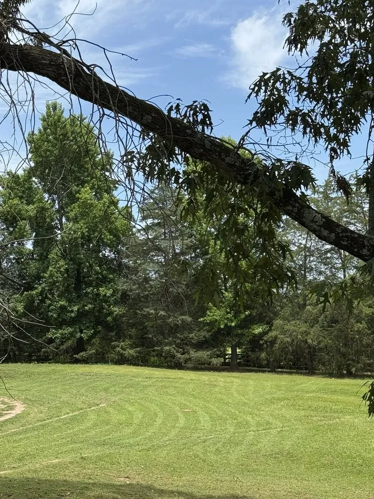 Affordable yard maintenance in McConnells, SC by Car’s Custom Lawn Care