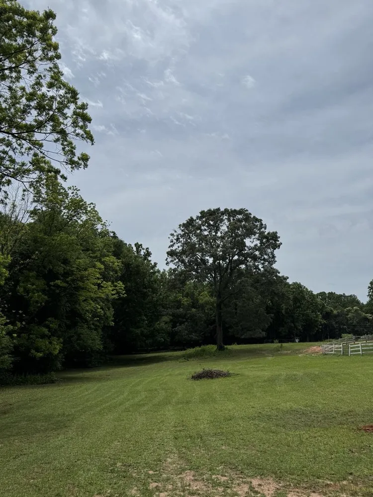 Professional outdoor landscaping in McConnells, SC - Car’s Custom Lawn Care