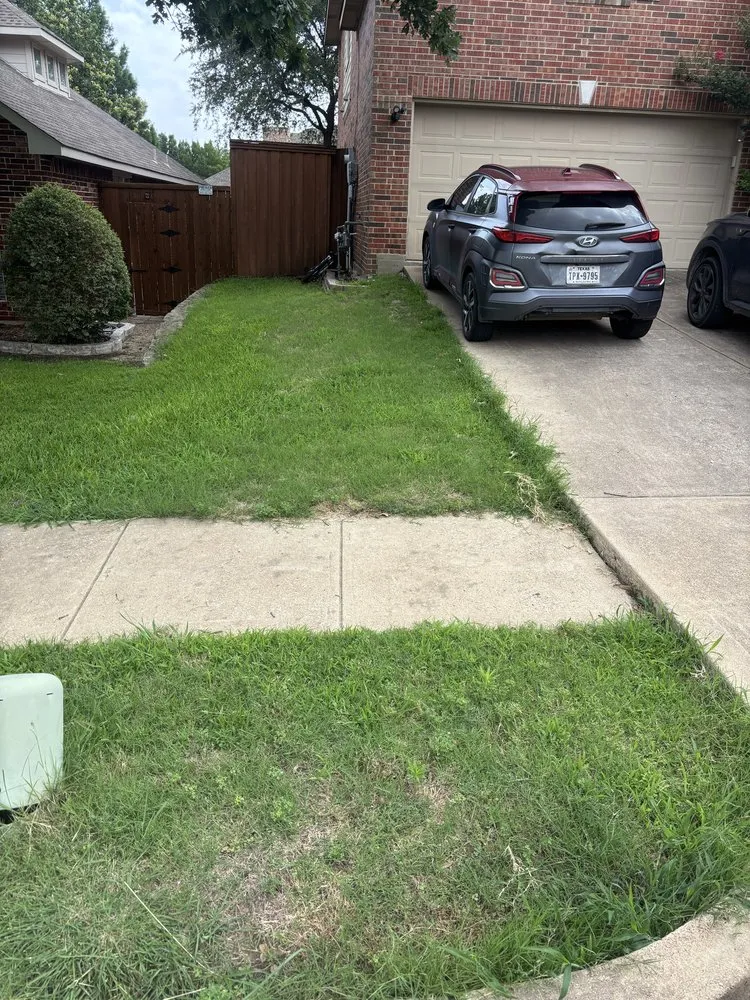 Reliable landscape installation in Rowlett, TX - Carsan Lawn and Landscaping