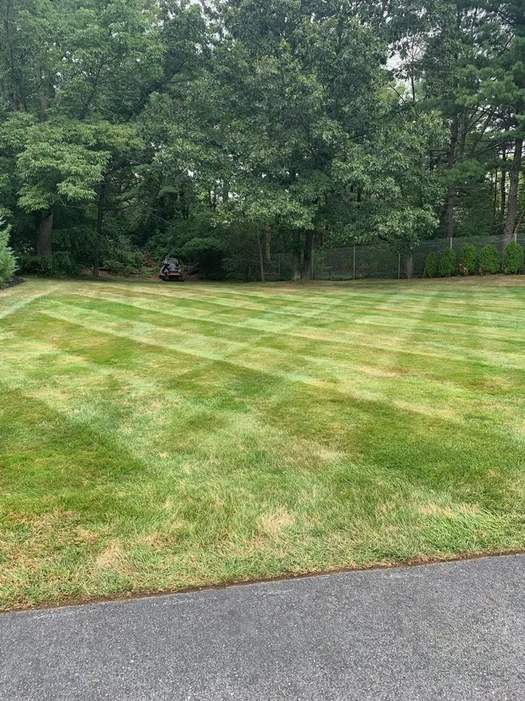 Top-rated landscape design experts serving Haverhill, MA - Carsanaro landscaping