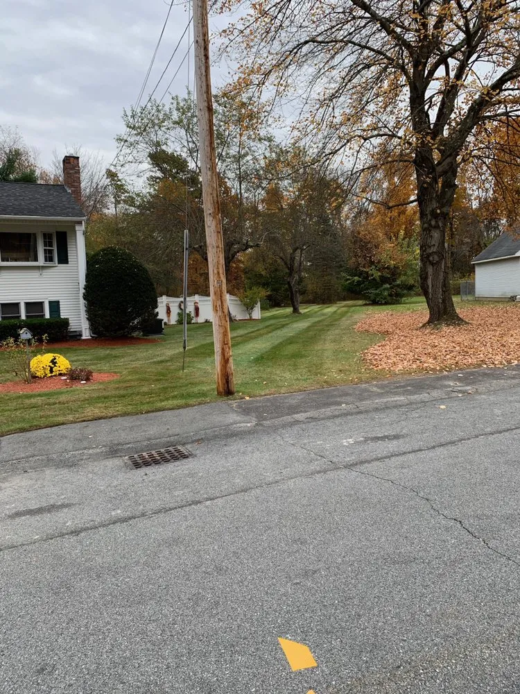 Expert yard maintenance in Haverhill, MA - Carsanaro landscaping