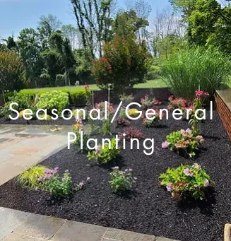 Top-rated yard cleanup service for year-round maintenance across Richfield, WI - Carsen Lawn Service