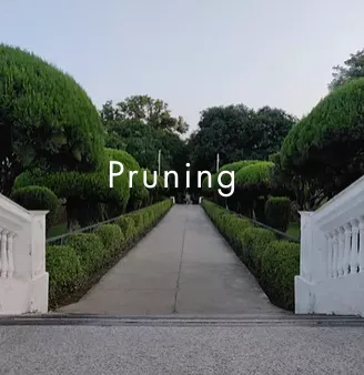 Reliable landscaping services in Richfield, WI - Carsen Lawn Service