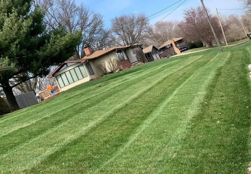Reliable yard cleanup service in Richfield, WI by Carsen Lawn Service