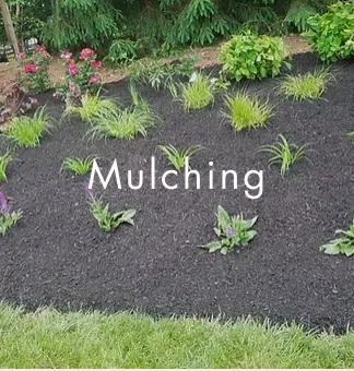 Top-rated lawn care service experts serving Richfield, WI - Carsen Lawn Service