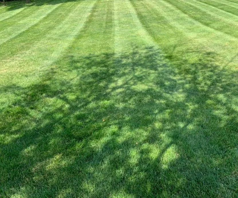 Trusted landscape installation experts serving Richfield, WI - Carsen Lawn Service