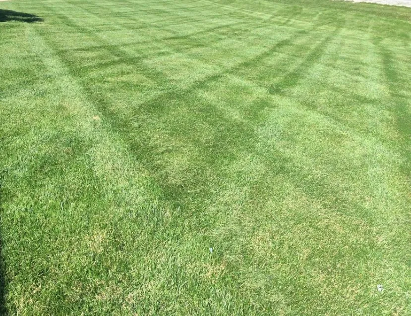 Professional lawn mowing service for homes across Richfield, WI - Carsen Lawn Service