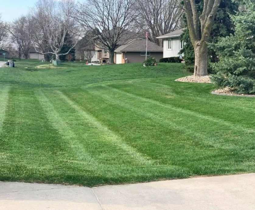 Local garden landscaping for year-round maintenance in Richfield, WI by Carsen Lawn Service
