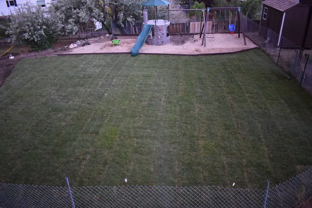 Reliable lawn care service for beautiful yards in Carson City, NV by Carson City Aerating