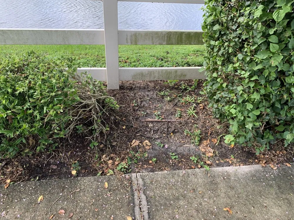 Local garden landscaping for year-round maintenance in Carson City, NV by Carson City Lawn and Landscaping